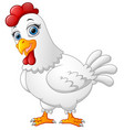 hen cartoon isolated on white background vector image