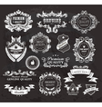 vintage frames and ribbons vector image