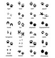 set of footprints wild animals vector image