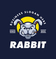 rabbit logo vector image