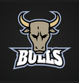 modern professional bull logo for a sport team vector image