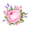 spring flowers bouquet vector image