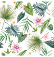 beautiful seamless pattern with watercolor vector image