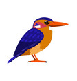 ispidina picta - african pygmy kingfisher - flat vector image vector image
