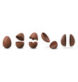 chocolate eggs broken and cracked eggshell vector image