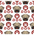 dog breed french bulldog adorable doggy face pet vector image