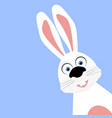 funny easter bunny on a blue background vector image