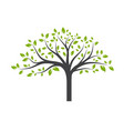 single green tree vector image
