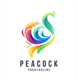 awesome gradient peacock logo design vector image