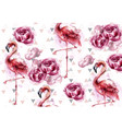flamingo and peony flowers watercolor background vector image vector image