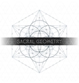 metatron outline seed of life sacred geometry vector image