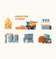 wheat harvesting bread production bakery industry vector image