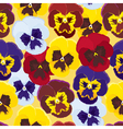 background of pansies vector image vector image