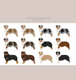 australian shepherd clipart coat colors aussie vector image vector image