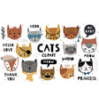 cute kittens and letterings childish prints vector image vector image