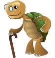 elderly tortoise vector image