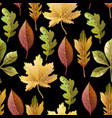 seamless pattern with autumn yellow leaves vector image vector image