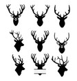 deer head with horns vector image