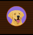 happy golden labrador retriever portrait of a dog vector image