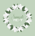 magnolia flowers vector image