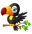 cute toucan bird cartoon vector image