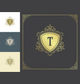 vintage logo monogram template golden vector image