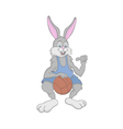 hare basketball vector image