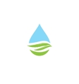 aloe vera label vector image vector image