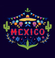 mexico decorative banner mexican holidays vector image vector image