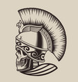 skull spartan vector image