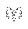 monstera icon summer design template isolated vector image