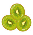 sweet kiwi icon cartoon fruit slice vector image