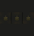 luxury background premium gold pattern dark dot vector image vector image