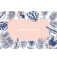 tropical background decorated by frame made vector image