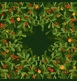 square frame or border made of branches and twigs vector image