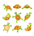 happy turtle icons set cartoon style vector image