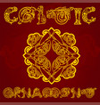 celtic decorative ornament vector image