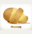 vegetable potato peel spiral food vector image