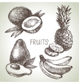 hand drawn sketch fruit set eco foods vector image