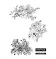 floral outline coloring vintage collections vector image