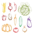 autumnal ripe vegetables sketch icons vector image