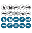shows pets vector image vector image