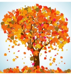 Maple tree autumn leaf fall eps 8 Royalty Free Vector Image