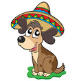 cute mexican dog vector image