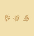 floral branch and minimalist flowers for logo vector image vector image