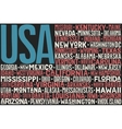 united states of america flag vector image vector image