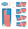usa flag vector image