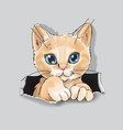 cute cat in in ripped paper cartoon vector image