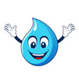 water drop mascot with happy smiling face vector image