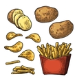 french fry stick potato in paper box and chips vector image